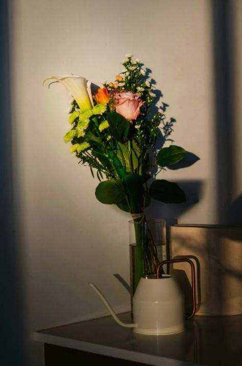 Εκπαίδευση Horti